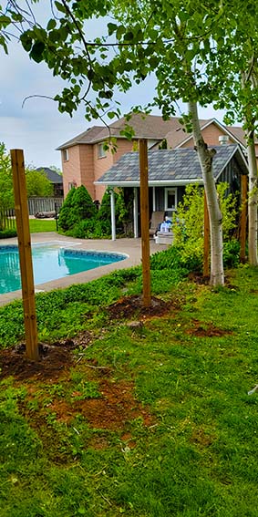 Image of fence posts set in a beautiful backyard