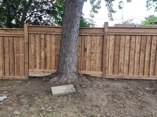 How Long Should a Fence Actually Last?