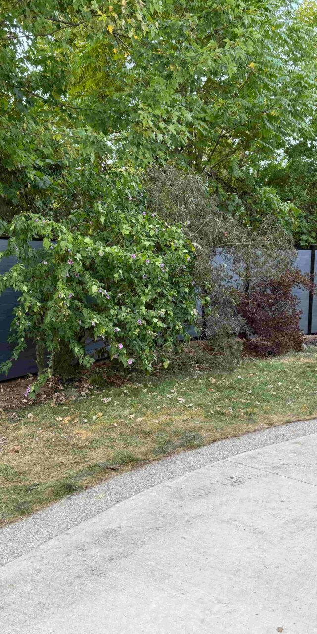 https://post2fence.com/wp-content/uploads/2026/07/composite-fence-installation-hamilton-640x1280.jpg