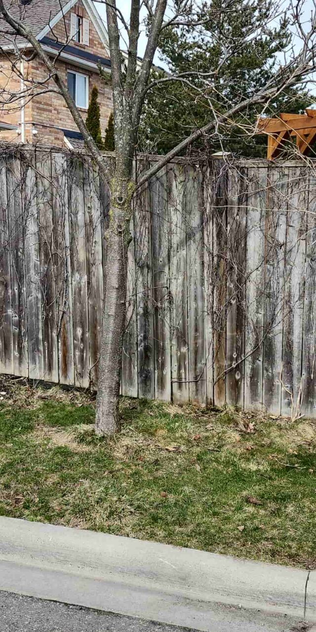 https://post2fence.com/wp-content/uploads/2026/07/fence-installation-services-milton-640x1280.jpg